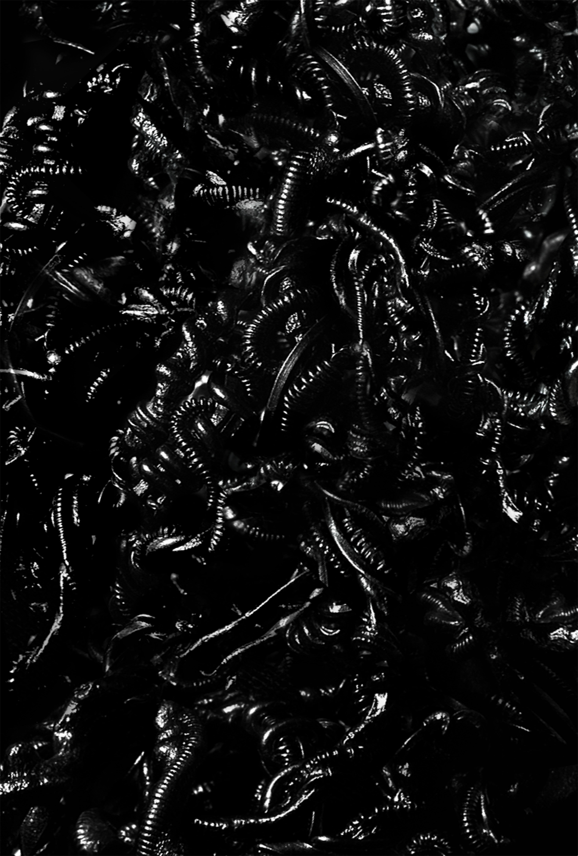 ポストカードのサンプル