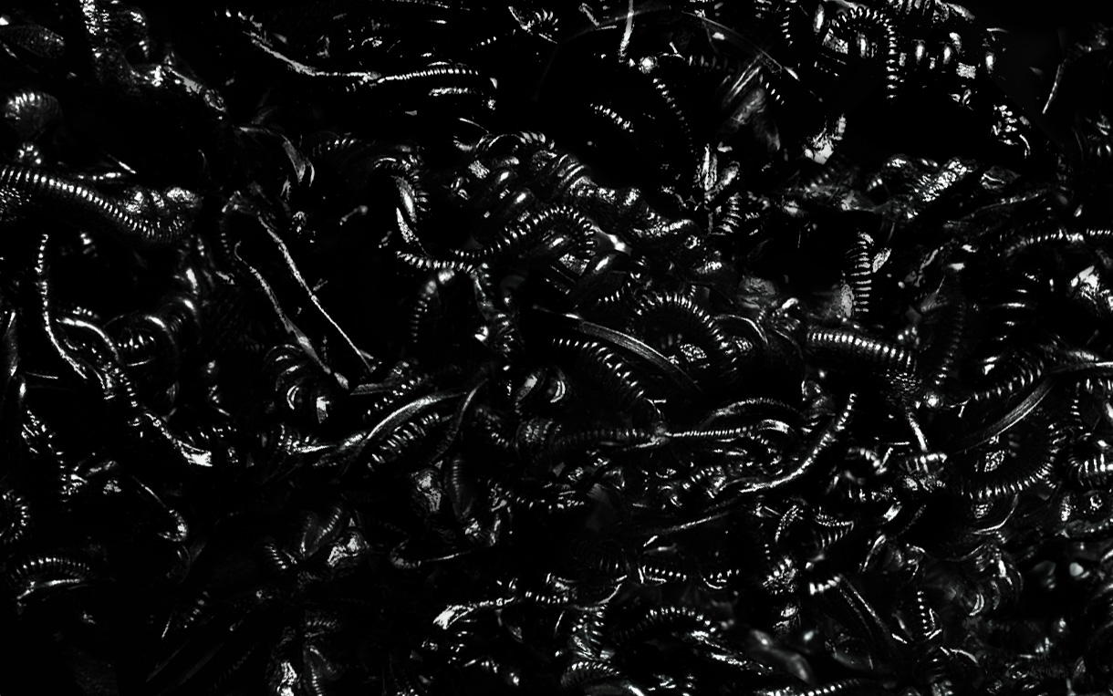 指輪の集合写真 1